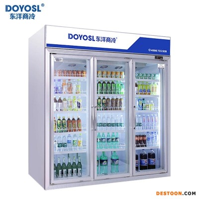 DOYOSL东洋商冷厂家供应广州冷柜冰柜直销便利店饮料保鲜柜 超市冷藏柜厂家BC-2200B3V 保鲜冷藏展示柜冷柜厂