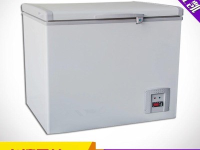 厂家直销 超低温储存箱  药品冷藏柜 生物冷藏箱