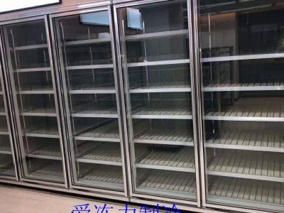广东爱冻力卧室冷冻柜 低温展示柜 便利店饮料冷藏柜 厂家直销 量大从优