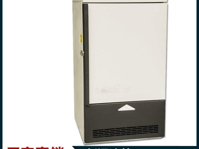 厂家现货 冷冻机 低温箱 冷柜 生物冷藏箱 药品冷藏柜