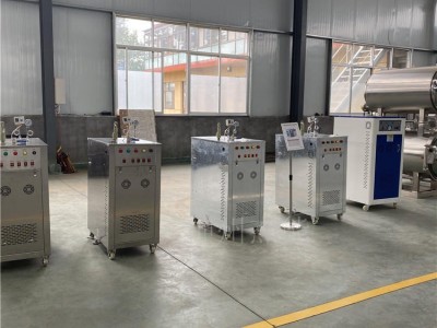 洗碗机配套生物质蒸汽发生器 全自动蒸汽锅炉 电加热蒸汽发生器