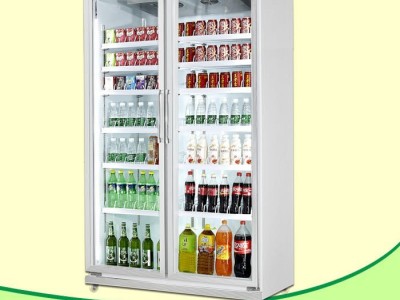 冰柜品牌LD-PT-1440平头双门豪华冷藏展示柜广州冷柜厂家深圳冷藏柜饮料柜配送中心