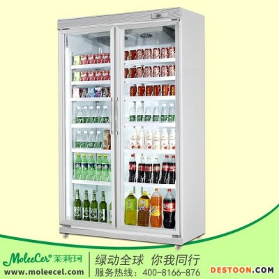 冰柜品牌LD-PT-1440平头双门豪华冷藏展示柜广州冷柜厂家深圳冷藏柜饮料柜配送中心