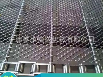 现货供应不锈钢清洗机网链洗碗机塑料尼龙网带油炸食品耐高温网带 盛康
