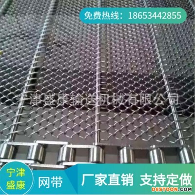 现货供应不锈钢清洗机网链洗碗机塑料尼龙网带油炸食品耐高温网带 盛康