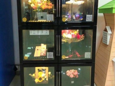 杭州合昇自动鲜花柜  鲜花保鲜柜 鲜花冷藏柜 鲜花冰箱