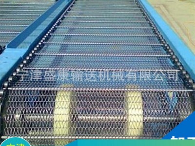 塑料网带耐高温金属网带清洗机输送带洗碗机网链