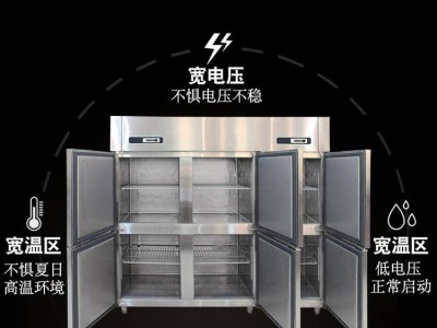 山东淄博大容量立式冰柜 四门单门商用冰柜 保鲜展示柜 冷鲜展示柜 餐厅备货冷藏柜冷冻柜