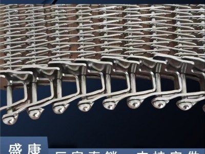 厂家直销工业皮带食品输送金属网带洗碗机尼龙塑料链条网链 盛康