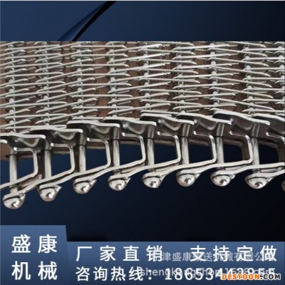 厂家直销工业皮带食品输送金属网带洗碗机尼龙塑料链条网链 盛康