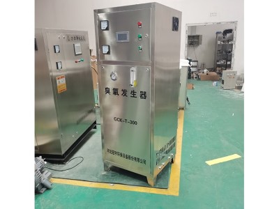 冠宇 水处理臭氧发生器 臭氧消毒柜消毒 生产厂家