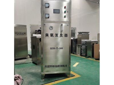 冠宇 臭氧消毒柜消毒 臭氧发生器消毒厂家 大量出售