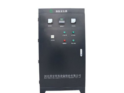 臭氧消毒柜消毒 冠宇  厂家供应 臭氧发生器泳池设备