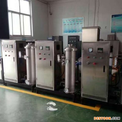 冠宇 臭氧消毒柜消毒 高浓度臭氧发生器 厂家现货