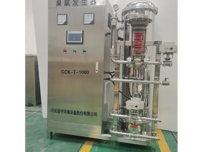 臭氧消毒柜消毒 氧气源臭氧发生器 冠宇  产地货源 臭氧发生器