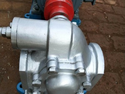 华潮KCB-55微型不锈钢齿轮泵小流量食品 化工洗洁精专用泵