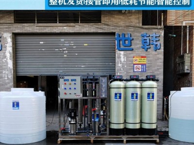 世韩大中型去离子水设备工业净水设备洗发水洗洁精软化去离子水处理设备1吨纯水设备