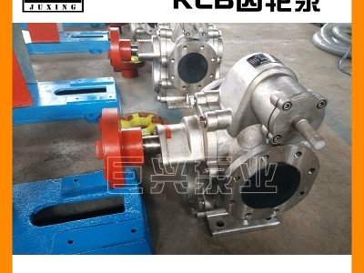 厂家批发 kcb200齿轮油泵 不锈钢齿轮泵 洗洁精输送泵 电动化工泵