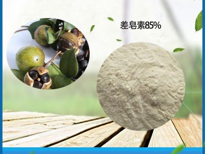 差皂素 洗涤剂原料 60% 山茶籽提取物 山茶籽差皂素  厂家现货包邮