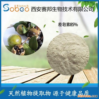 差皂素 洗涤剂原料 60% 山茶籽提取物 山茶籽差皂素  厂家现货包邮