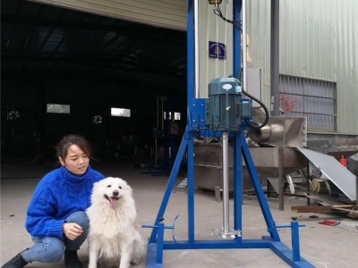 广东供应 油漆涂料分散机 洗洁精高速搅拌机