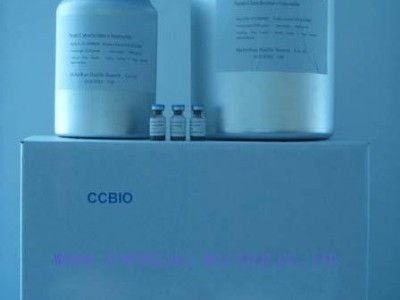 碱性蛋白酶 天然洗涤剂 酶活力20W 1kg包装 现货cas：9014-01-1