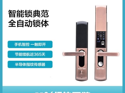 雅肯智能指纹锁厂家 识别指纹密码锁家用防盗门 全自动指纹密码锁销售 智能指纹锁ACM-B08价格 指纹锁厂家招商加盟