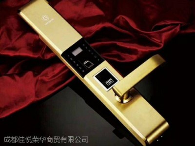 坚固耐用的指纹锁不锈钢304电子密码锁智能指纹锁居家单位办公室安装均可图1