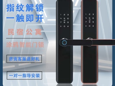 恒达飞通通指纹锁家用防盗门民宿公寓涂鸦IWiFi密码智能指纹锁