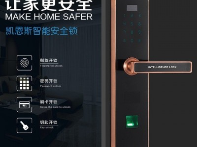 广东指纹锁厂家供应多款式超低价指纹锁