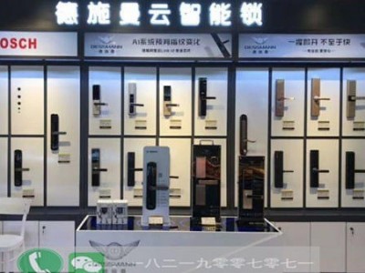 采购 德施曼指纹锁展示柜 T11 云智能锁