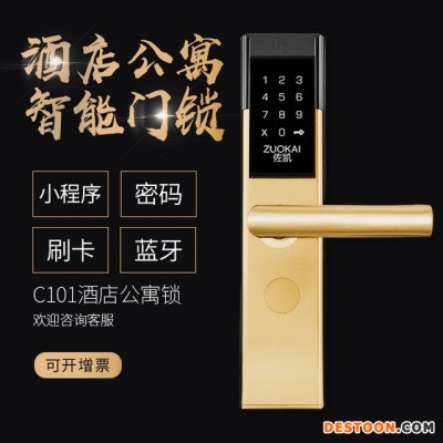 C101 酒店公寓密码锁 家用防盗门锁智能电子锁 手机开门