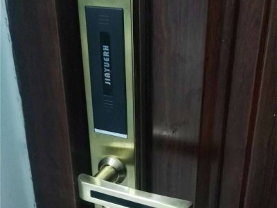 佳悦鑫智能防盗锁J9800电子防盗门锁加厚不锈钢指纹锁安全耐用性高