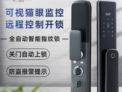 全自动智能锁视频监控指纹锁家用防盗密码锁APP远程控制智能门锁GD-2019C