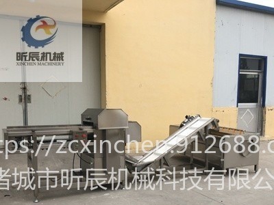 诸城昕辰机械冻玉米切段机 冻玉米分切机 连续式玉米切割机 玉米切块机 全自动玉米切断机 鲜玉米切段