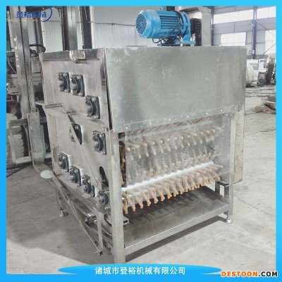 鹅刨毛设备  小型自动化鹅拔毛机 登裕 DY