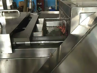 瑞宝 冷冻油脂切片机 猪肝切片机 刨肉切块一体机