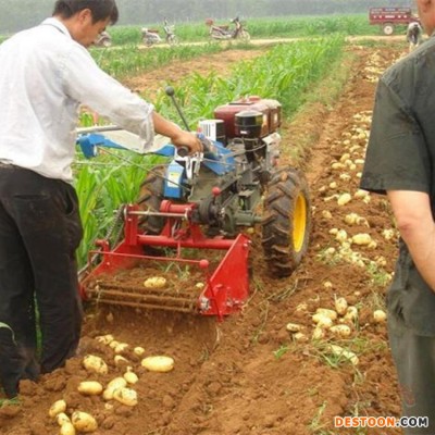 刨土豆机 手扶带土豆收获机厂家 挖马铃薯洋芋机器