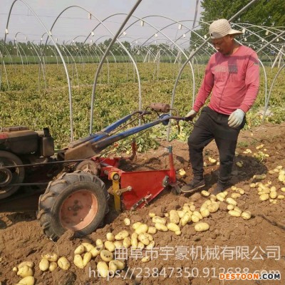 收土豆机 新型手扶车刨土豆机 厂家直销土豆收获机