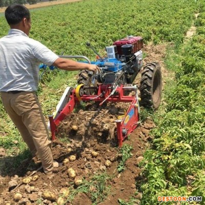 挖马铃薯机器 刨芋头地瓜机 土豆出土收获机 量大从优