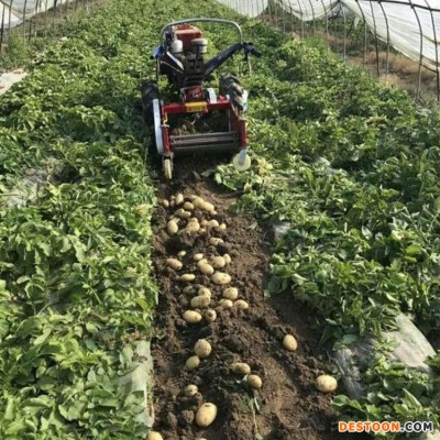 土豆出土机 薯类根茎类收获机 刨地瓜机 质优价廉