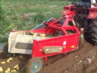 地瓜蜜薯收获机 洋山芋马铃薯挖掘机 四轮刨土豆红薯药材机