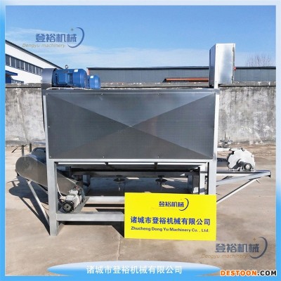 母猪头烫毛后刨毛设备  屠宰设备头蹄加工去毛 登裕 DY