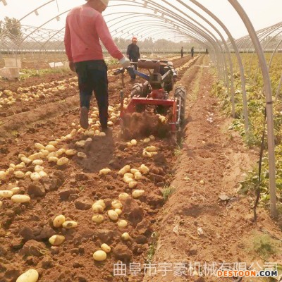 刨地瓜机 收土豆机 新型马铃薯收获机