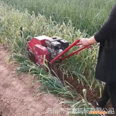 小型大蒜收获机厂家直供 小型手推自走式挖蒜机 汽油大马力刨蒜机