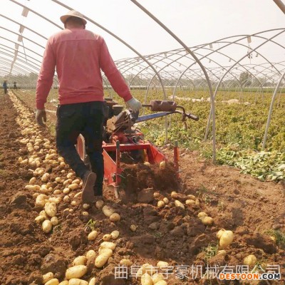 新型土豆收获机 手扶车带刨红薯土豆机 收洋芋的机器