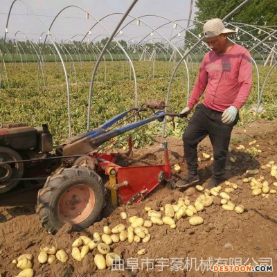 手扶车带动土豆收获机 刨地瓜机 农用薯类收获机