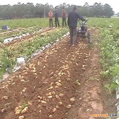 汇林 农用收土豆地瓜机器 刨红薯土豆机 可调节深度挖药机