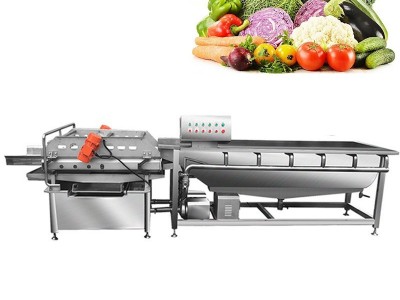 水果清洗抛光机 信用社洗果机厂家 农村蔬菜批发市场专用洗菜机