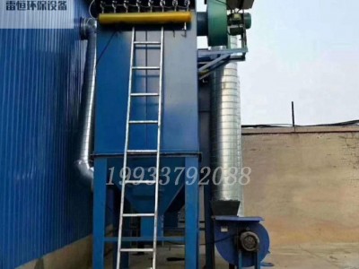 专业生产工业车间除尘装备 木工除尘器  脉冲滤筒除尘器锅炉木工除尘器 直销定制 雷恒环保
